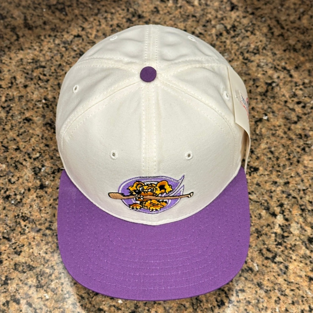 Vtg 90s Charleston RiverDogs MiLB New Era 5950 Pro Model Hat Snapback Wool - Picture 6 of 10